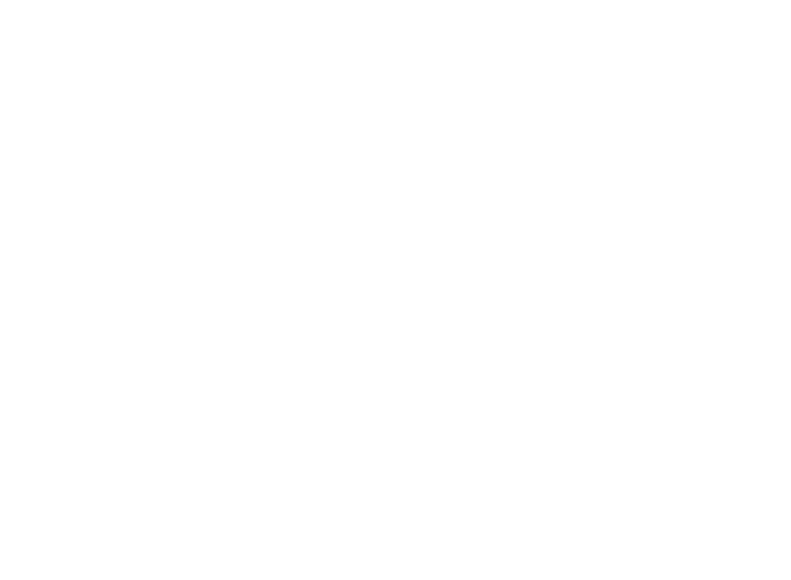 Logo principal Pace & Pub
